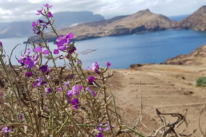 lighthouse-view-3-cais-do-sardinha-lighthouse-and-return-to-cais-do-sardinha