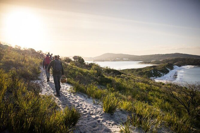 Lighting the Sound Uredale Twilight Hike - A Detailed Look at the Uredale Twilight Hike