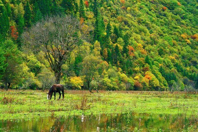 Lijiang Private Essentials Tour to Jade Dragon Snow Mountain including Cable Car - Practical Considerations