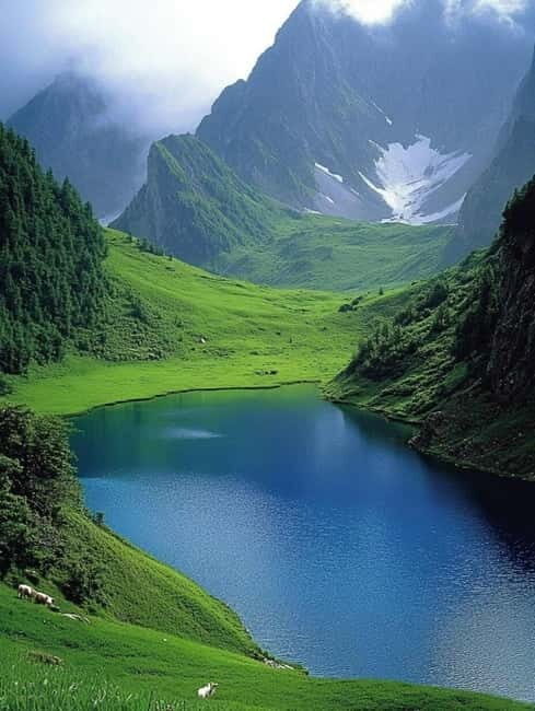 Lijiang: Yulong Snow Mountain, Blue Moon Valley & Show - FAQ