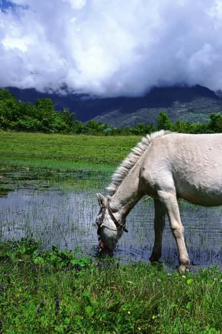 LijiangYulong Snow Mountain Yakniuping Cableway Day Tour - Key Points