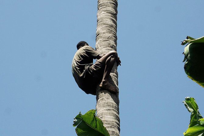 Like Locals: Banana Plantation, and Cuscuz with locals - FAQs