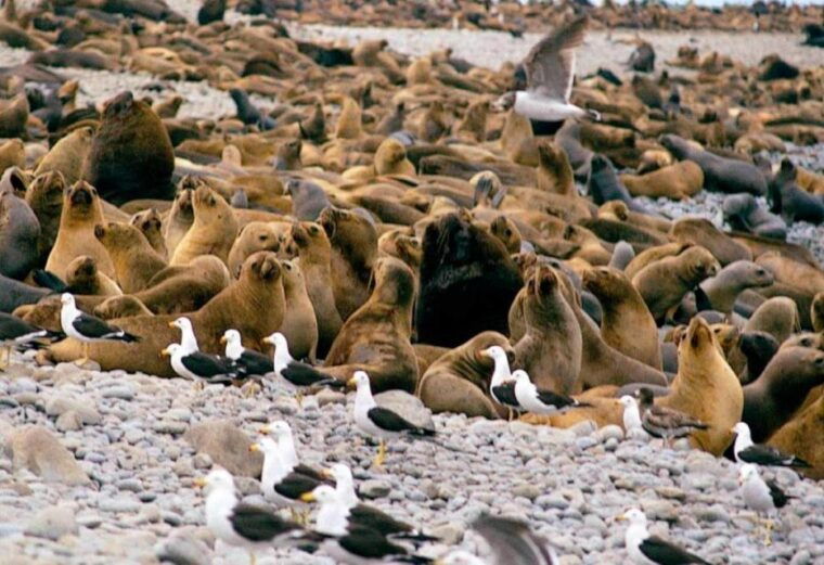 lima-7-day-inca-tour-with-flights-and-machu-picchu