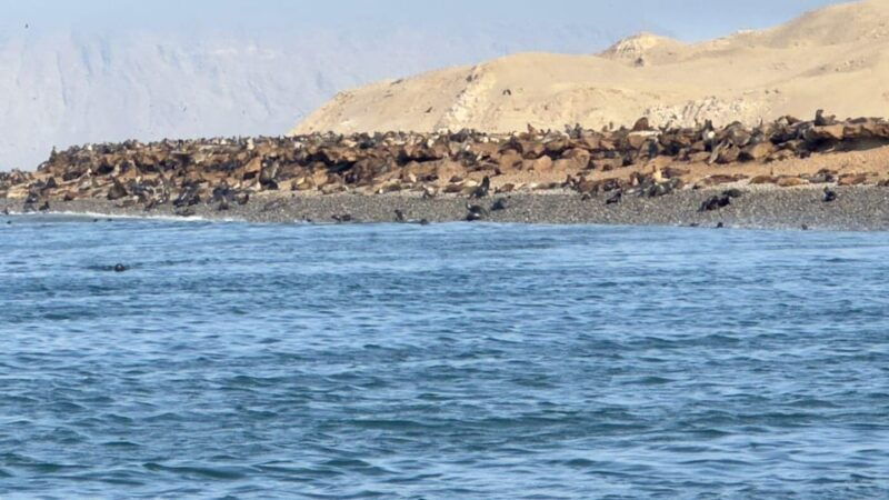 lima-and-nasca-ballestas-huacachina-nasca-lines