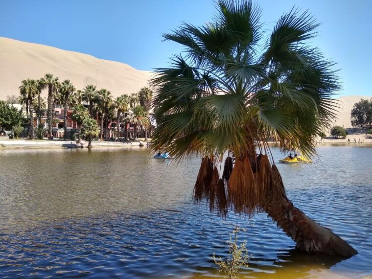 lima-ballestas-islands-huacachina-nazca-lines-lunch