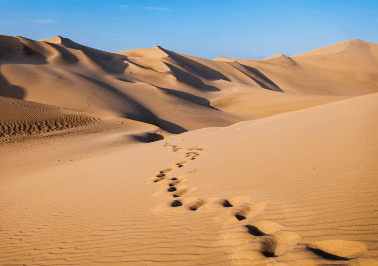 lima-ballestas-islands-nazca-lines-and-huacachina-tour