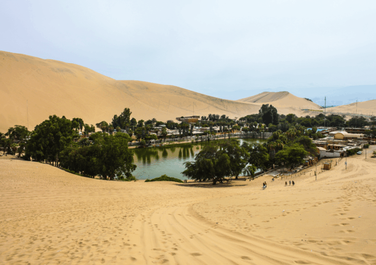 lima-ballestas-islands-nazca-lines-and-huacachina-tour