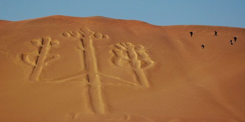 lima-ballestas-islands-winery-and-nazca-lines-private-tour