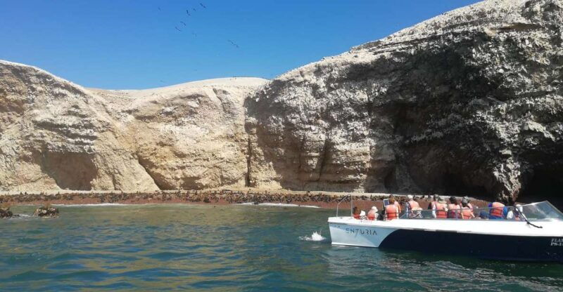 lima-ballestas-islands-winery-and-nazca-lines-private-tour