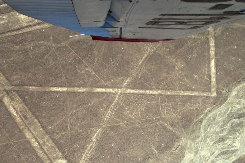 lima-ballestas-islands-winery-and-nazca-lines-private-tour