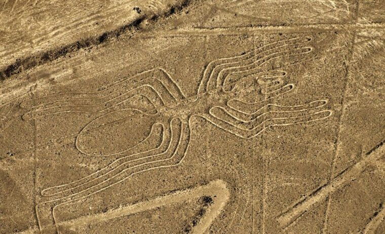 lima-ballestas-islands-winery-and-nazca-lines-private-tour