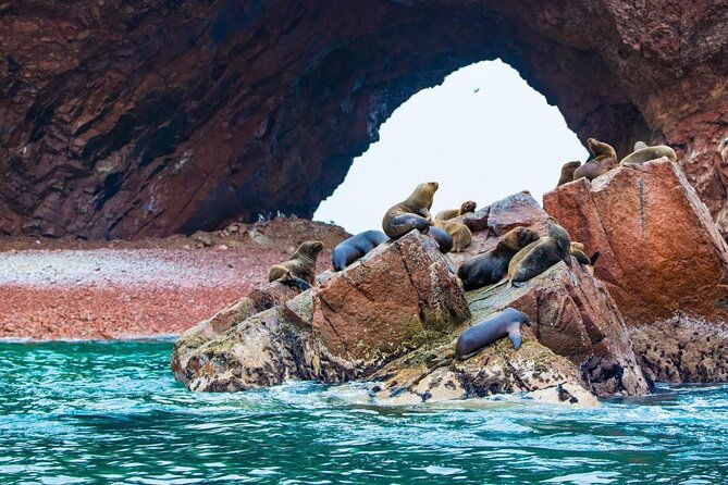 lima-ballestas-islands-winery-huacachina-oasis-private-tour