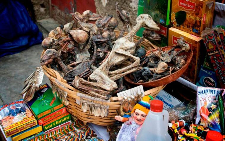 lima-bizarre-tour-in-gamarra-witches-market