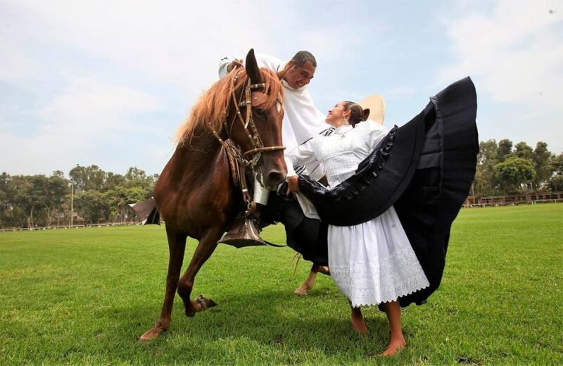 lima-buffet-lunch-dance-show-peruvian-paso-horses-2