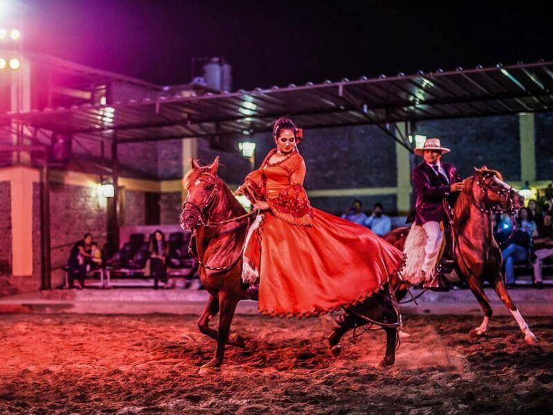 lima-buffet-lunch-dance-show-peruvian-paso-horses-2