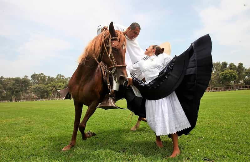 lima-buffet-lunch-dance-show-peruvian-paso-horses-2