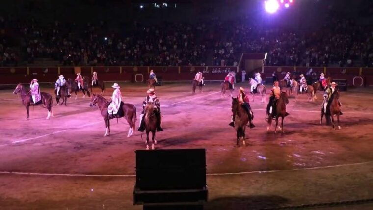 lima-buffet-lunch-dance-show-peruvian-paso-horses-2