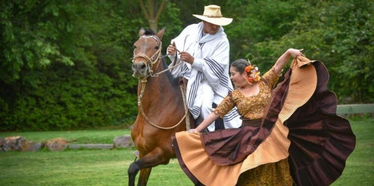 lima-buffet-lunch-dance-show-peruvian-paso-horses-2
