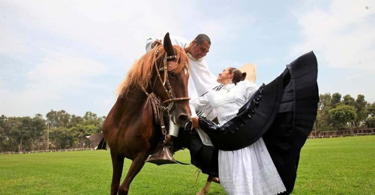lima-buffet-lunch-dance-show-peruvian-paso-horses-2