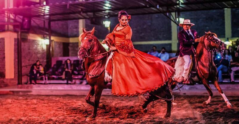 lima-buffet-lunch-dance-show-peruvian-paso-horses-3