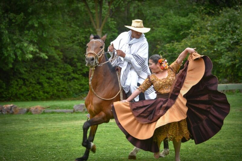 lima-buffet-lunch-dance-show-peruvian-paso-horses-3