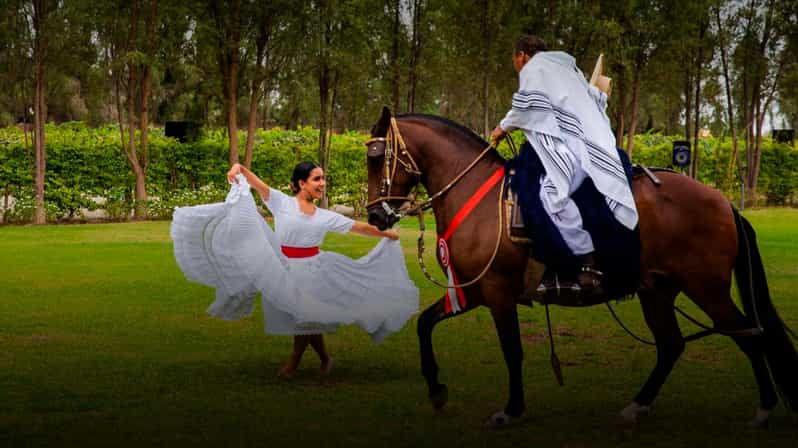 lima-buffet-lunch-dance-show-peruvian-paso-horses-5