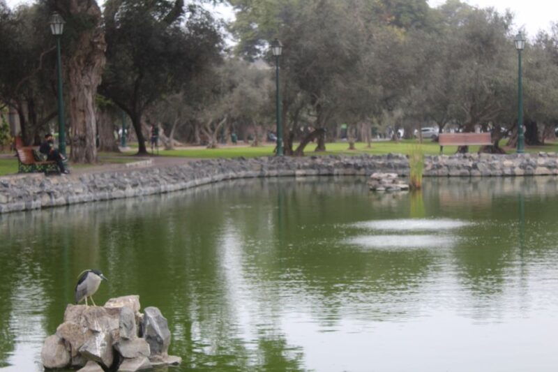 lima-city-biking-2