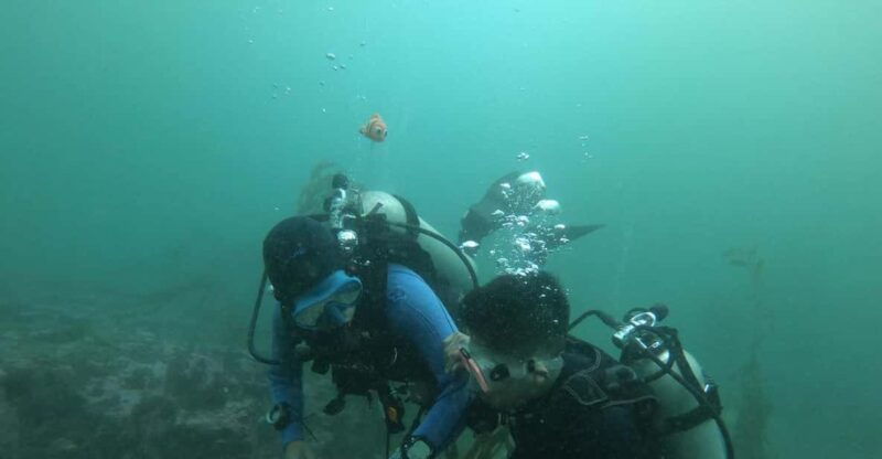lima-discover-scuba-diving-first-experience
