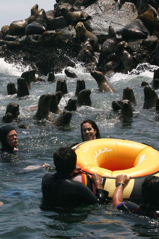 lima-enjoy-an-exciting-excursion-to-the-palomino-islands
