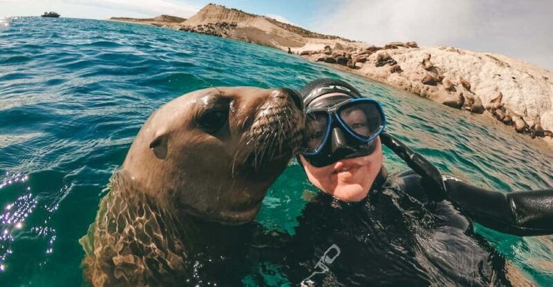 lima-excursion-to-palomino-island-entrance-sea-lions