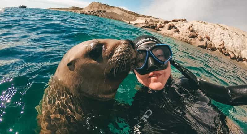 lima-excursion-to-palomino-island-entrance-sea-lions