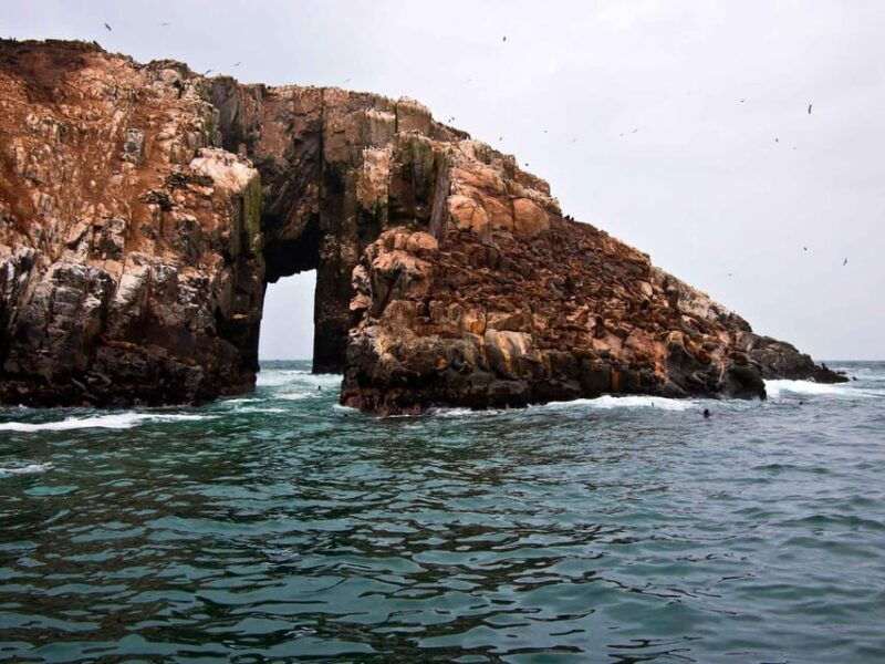 lima-excursion-to-palomino-island-sea-lions
