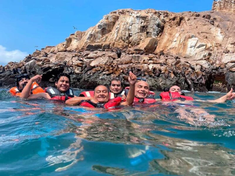 lima-excursion-to-palomino-island-sea-lions
