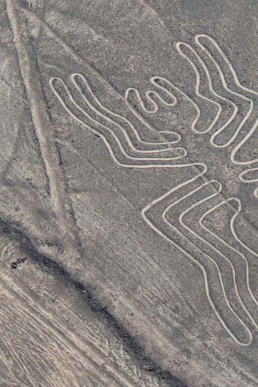 lima-flight-over-the-nazca-lines-with-bus-transfer