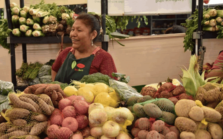 lima-food-experience-with-local-markets-barranco-tour