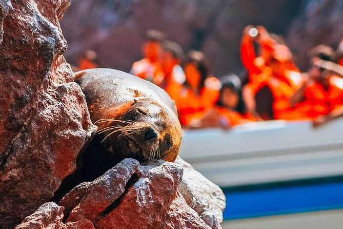 lima-full-day-tour-paracas-and-huacachina-oasis