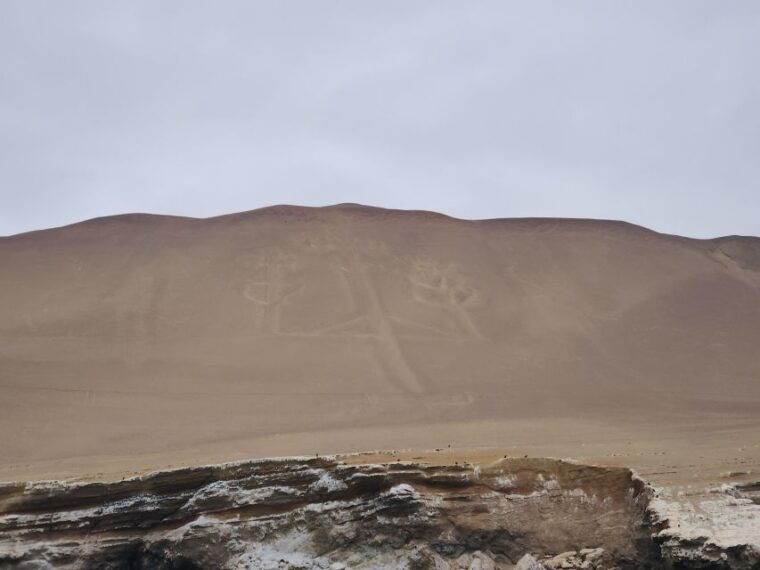 lima-full-day-tour-to-paracas-vineyards-and-huacachina
