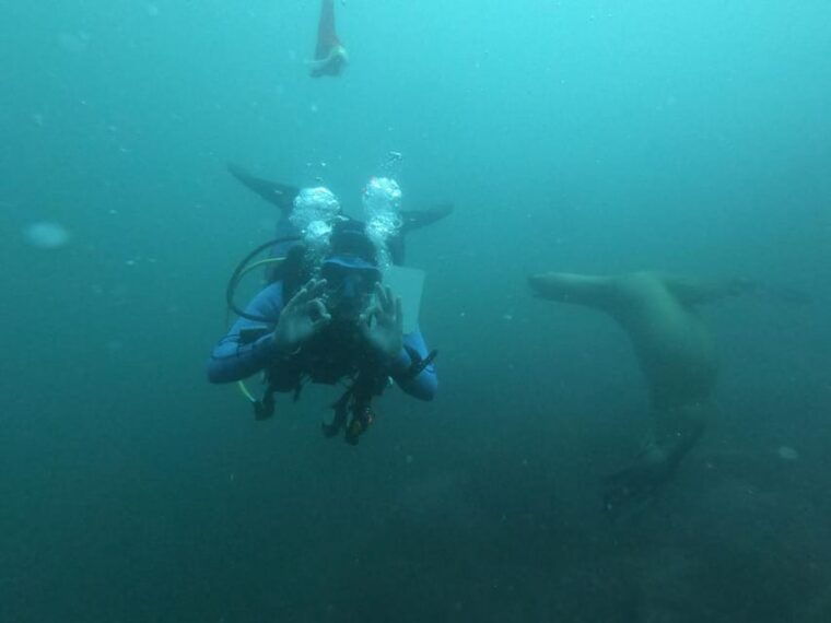 lima-fun-dive-for-certified-divers