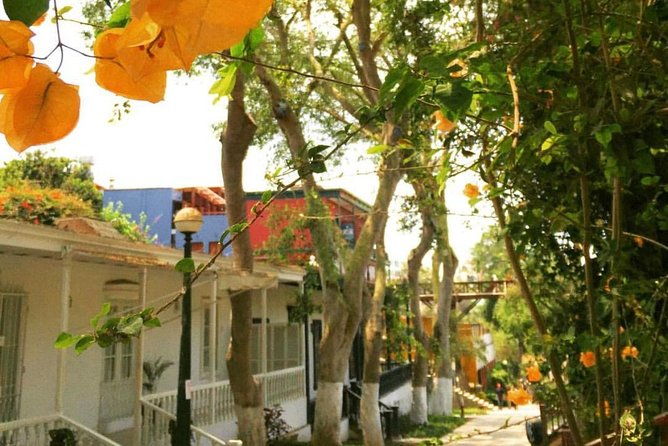 lima-gourmet-food-tour-daytime-experience