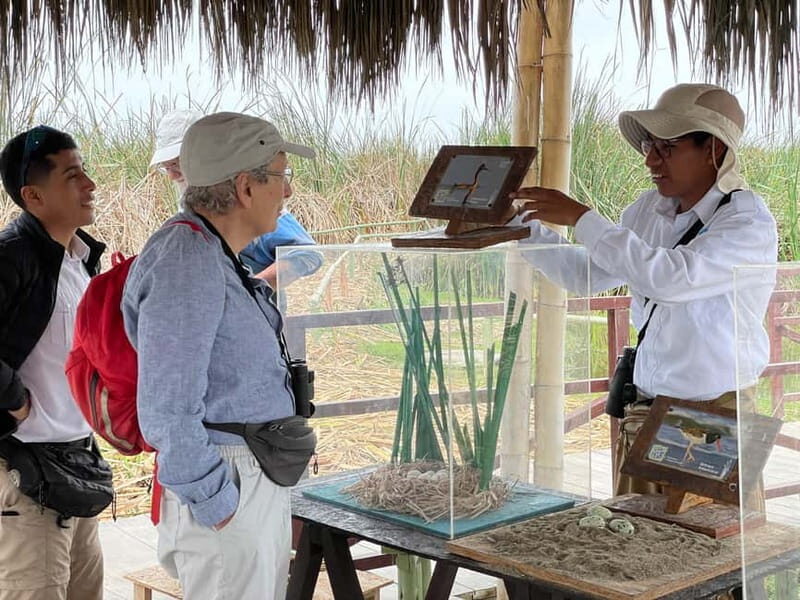 Lima: guided tour of a nature reserve on the Rimac River - FAQs