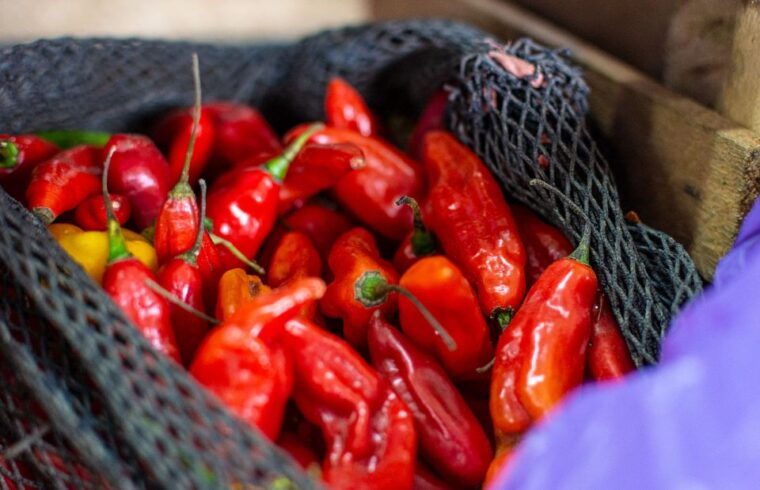 lima-historic-center-street-food-market-and-eateries-tour