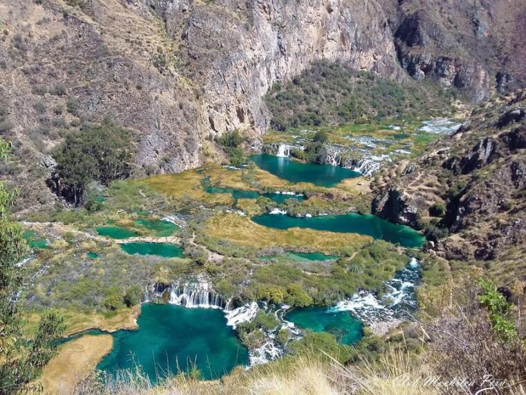 lima-huancaya-paradise-retreat