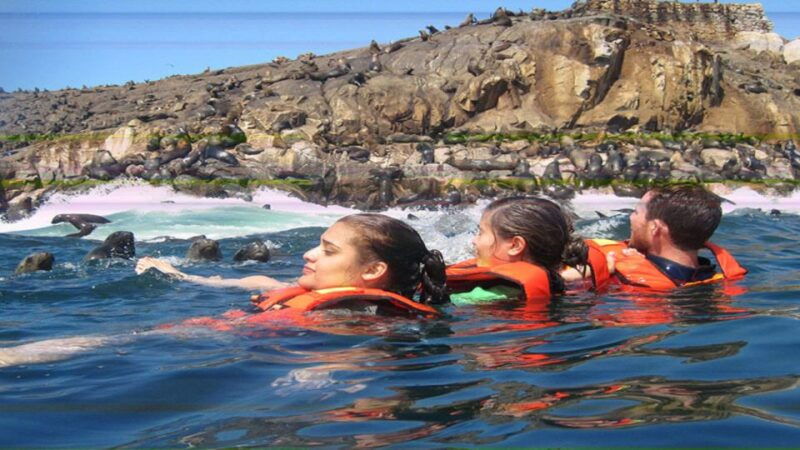 lima-islas-palomino-tour-swim-with-sea-lions