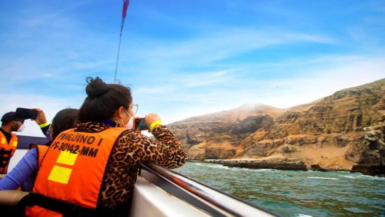 lima-islas-palomino-tour-swim-with-sea-lions