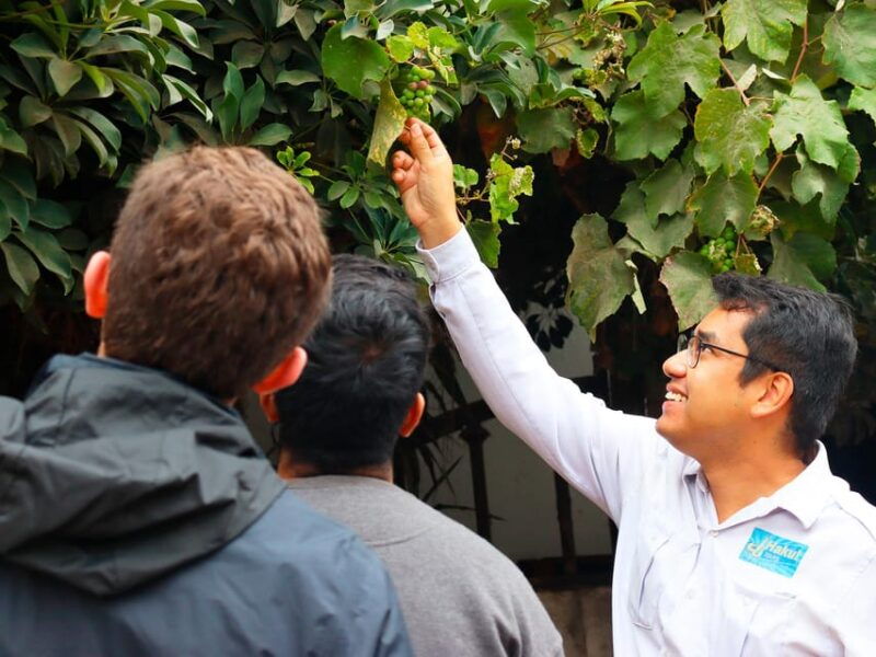 lima-local-wine-tour-2