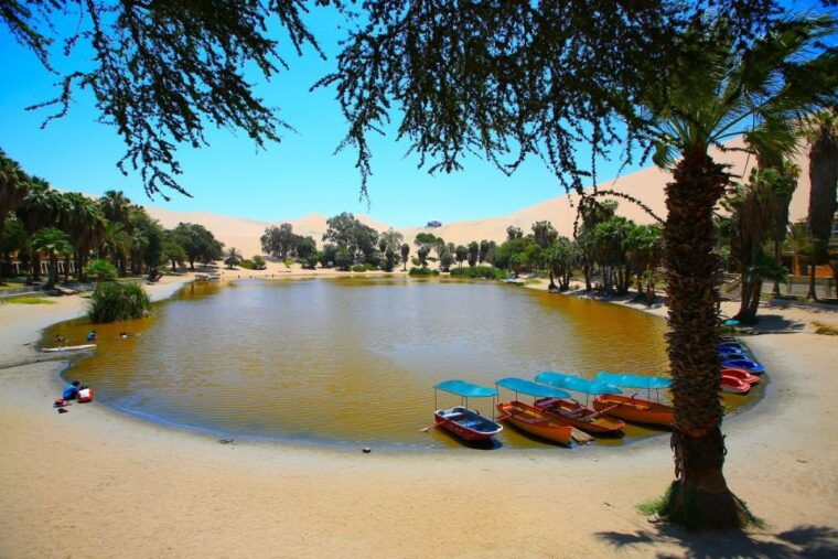 lima-nazca-lines-winery-and-huacachina-oasis-private-tour