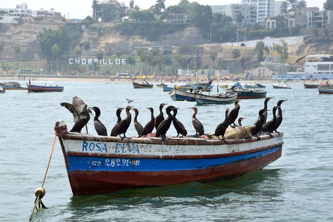 lima-off-the-beaten-path-local-communities-and-cultural-immersion