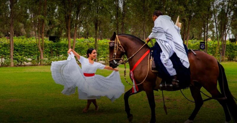 lima-pachacamac-tour-and-peruvian-paso-horse-exhibition