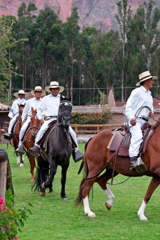 lima-pachacamac-tour-and-peruvian-paso-horse-exhibition