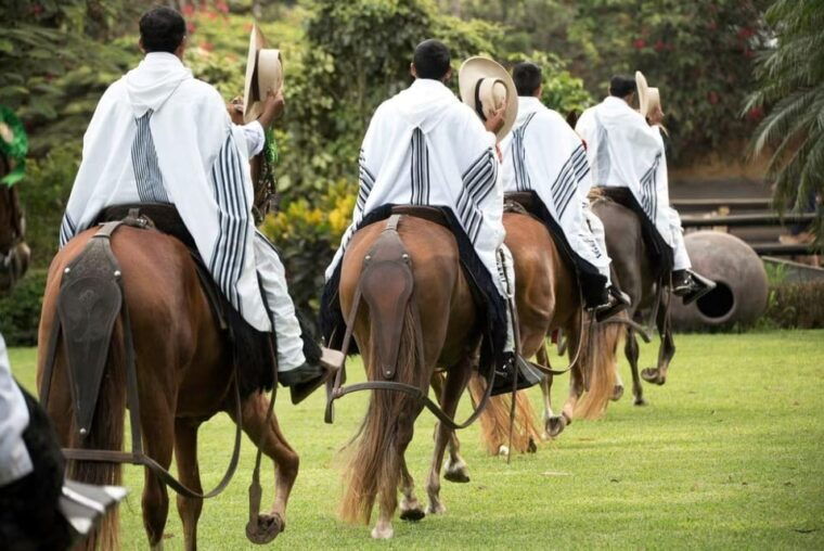 lima-pachacamac-tour-and-peruvian-paso-horse-exhibition